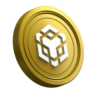 BNB cryptocurrency on the page for the new trader guide