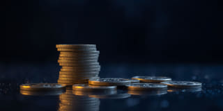 Transparency — clear platform details on the Steady Gainidence trading platform